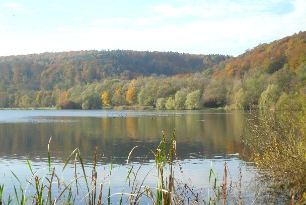 Baggersee Kirchentellinsfurt naldoland.de